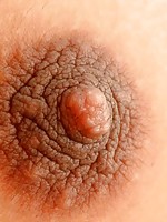 shemales fucking girls wmv