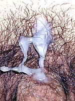 two guys one shemale