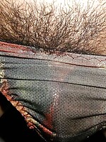 i was seduced by transsexuals